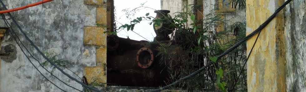 30 juin 2019 - St-Pierre - Pierrefonds - Ruines de l'usine sucrire