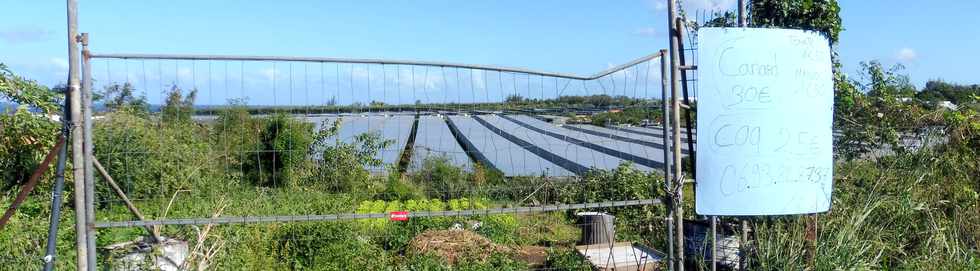 30 juin 2019 - St-Pierre - Pierrefonds - Ferme photovoltaïque