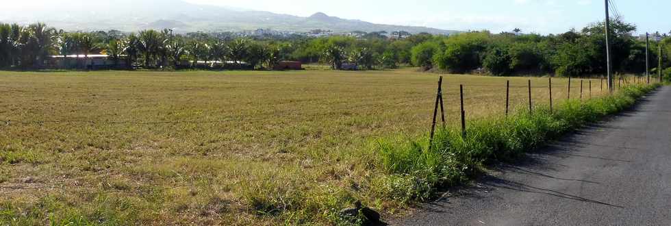 14 juillet 2019 - St-Pierre - Ravine Blanche - Herbages