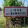 Ligne des Bambous